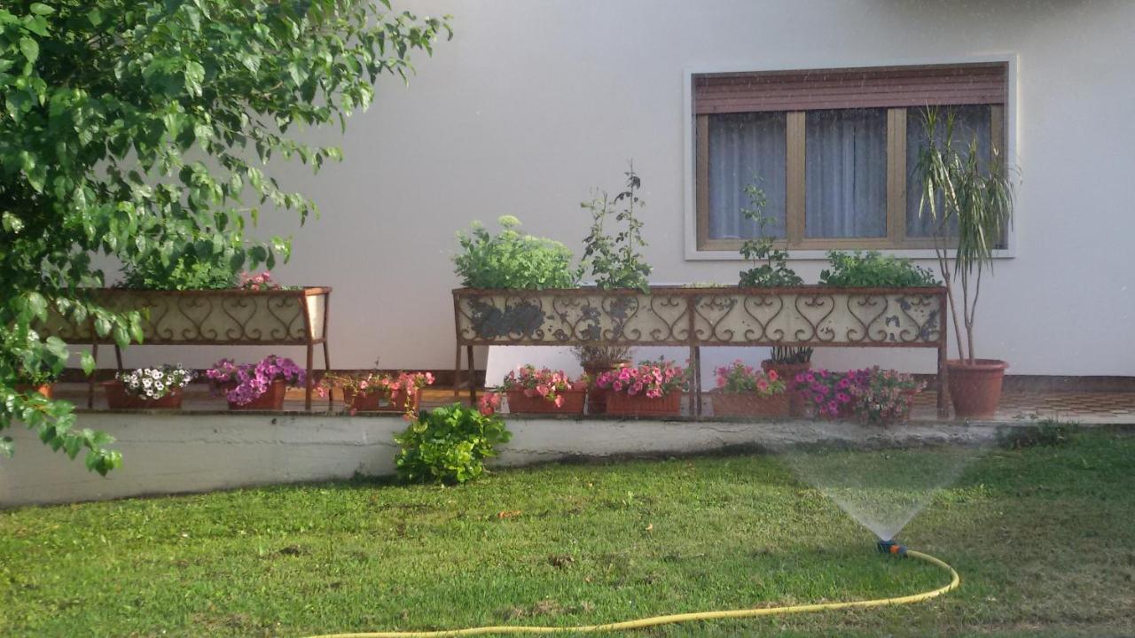 Hotel Le Vigne Contigliano Exteriör bild